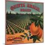 Quinta Amalia Brand - Sonora, Mexico - Citrus Crate Label-Lantern Press-Mounted Art Print