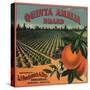 Quinta Amalia Brand - Sonora, Mexico - Citrus Crate Label-Lantern Press-Stretched Canvas