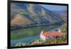 Quinta da Marka overlooking the Douro River, Alto Douro Wine Valley, UNESCO World Heritage Site, Po-Richard Maschmeyer-Framed Photographic Print