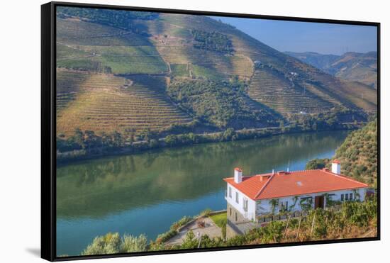 Quinta da Marka overlooking the Douro River, Alto Douro Wine Valley, UNESCO World Heritage Site, Po-Richard Maschmeyer-Framed Stretched Canvas