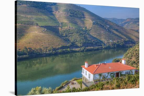 Quinta da Marka overlooking the Douro River, Alto Douro Wine Valley, UNESCO World Heritage Site, Po-Richard Maschmeyer-Stretched Canvas