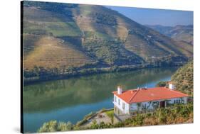 Quinta da Marka overlooking the Douro River, Alto Douro Wine Valley, UNESCO World Heritage Site, Po-Richard Maschmeyer-Stretched Canvas