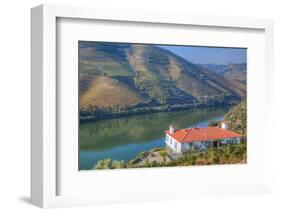 Quinta da Marka overlooking the Douro River, Alto Douro Wine Valley, UNESCO World Heritage Site, Po-Richard Maschmeyer-Framed Photographic Print