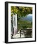 Quinta Nova De Nossa Senhora Do Carmo Estate in Northern Portugal in the Renowned Douro Valley-Camilla Watson-Framed Photographic Print