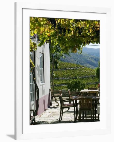 Quinta Nova De Nossa Senhora Do Carmo Estate in Northern Portugal in the Renowned Douro Valley-Camilla Watson-Framed Photographic Print