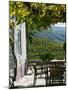 Quinta Nova De Nossa Senhora Do Carmo Estate in Northern Portugal in the Renowned Douro Valley-Camilla Watson-Mounted Photographic Print