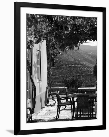 Quinta Nova De Nossa Senhora Do Carmo Estate in Northern Portugal in the Renowned Douro Valley-Camilla Watson-Framed Photographic Print
