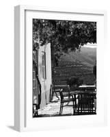 Quinta Nova De Nossa Senhora Do Carmo Estate in Northern Portugal in the Renowned Douro Valley-Camilla Watson-Framed Photographic Print