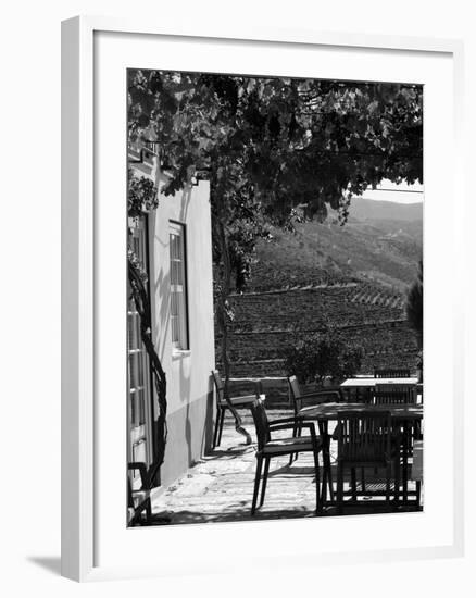 Quinta Nova De Nossa Senhora Do Carmo Estate in Northern Portugal in the Renowned Douro Valley-Camilla Watson-Framed Photographic Print