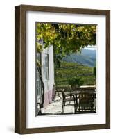 Quinta Nova De Nossa Senhora Do Carmo Estate in Northern Portugal in the Renowned Douro Valley-Camilla Watson-Framed Photographic Print