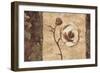 Quintessence I-Chris Donovan-Framed Art Print