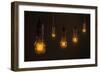 Quintet of Vintage Light Bulbs-chianim8r-Framed Premium Giclee Print