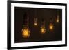 Quintet of Vintage Light Bulbs-chianim8r-Framed Art Print