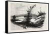 Quio, from the Chats, Canada, Nineteenth Century-null-Framed Stretched Canvas