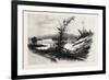 Quio, from the Chats, Canada, Nineteenth Century-null-Framed Giclee Print