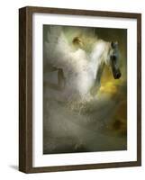 Quipe-Lynne Davies-Framed Photographic Print