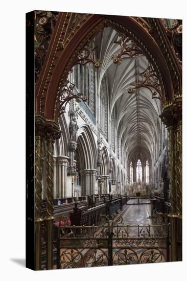 Quire Seen Through the Skidmore Screen, Lichfield Cathedral, Staffordshire, England, United Kingdom-Nick Servian-Stretched Canvas