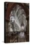 Quire Seen Through the Skidmore Screen, Lichfield Cathedral, Staffordshire, England, United Kingdom-Nick Servian-Stretched Canvas