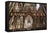 Quire Seen Through the Skidmore Screen, Lichfield Cathedral, Staffordshire, England, United Kingdom-Nick Servian-Framed Stretched Canvas
