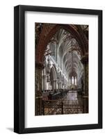 Quire Seen Through the Skidmore Screen, Lichfield Cathedral, Staffordshire, England, United Kingdom-Nick Servian-Framed Photographic Print