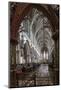 Quire Seen Through the Skidmore Screen, Lichfield Cathedral, Staffordshire, England, United Kingdom-Nick Servian-Mounted Photographic Print