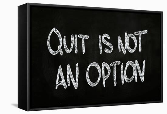 Quit is Not an Option-airdone-Framed Stretched Canvas