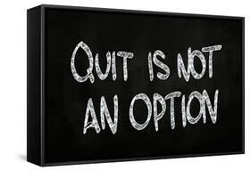 Quit is Not an Option-airdone-Framed Stretched Canvas