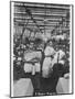 Quite Young Lancashire Mill Girls-null-Mounted Photographic Print