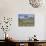 Quiver Tree (Aloe Dichotoma), Goegap Nature Reserve, Namaqualand, South Africa, Africa-Steve & Ann Toon-Mounted Photographic Print displayed on a wall