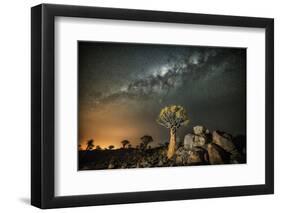 Quiver Tree (Aloe Dichotoma) with the Milky Way at Night-Wim van den Heever-Framed Photographic Print