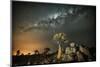 Quiver Tree (Aloe Dichotoma) with the Milky Way at Night-Wim van den Heever-Mounted Photographic Print