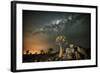 Quiver Tree (Aloe Dichotoma) with the Milky Way at Night-Wim van den Heever-Framed Photographic Print