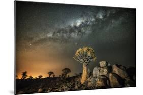 Quiver Tree (Aloe Dichotoma) with the Milky Way at Night-Wim van den Heever-Mounted Photographic Print