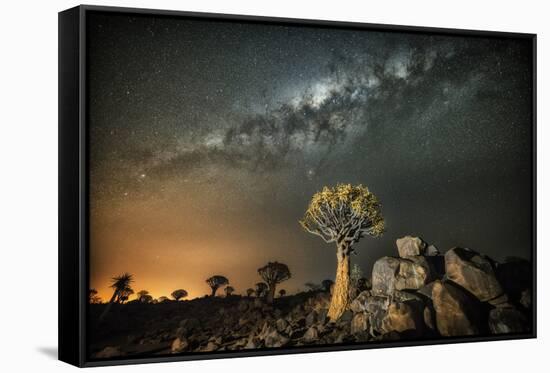 Quiver Tree (Aloe Dichotoma) with the Milky Way at Night-Wim van den Heever-Framed Stretched Canvas