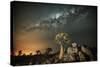 Quiver Tree (Aloe Dichotoma) with the Milky Way at Night-Wim van den Heever-Stretched Canvas