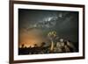 Quiver Tree (Aloe Dichotoma) with the Milky Way at Night-Wim van den Heever-Framed Photographic Print