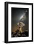 Quiver Tree (Aloe Dichotoma) with the Milky Way at Night-Wim van den Heever-Framed Photographic Print