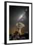 Quiver Tree (Aloe Dichotoma) with the Milky Way at Night-Wim van den Heever-Framed Photographic Print