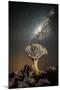 Quiver Tree (Aloe Dichotoma) with the Milky Way at Night-Wim van den Heever-Mounted Photographic Print