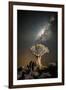 Quiver Tree (Aloe Dichotoma) with the Milky Way at Night-Wim van den Heever-Framed Photographic Print