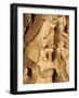 Quiver Tree Bark, Quiver Tree Forest, Keetmanshoop, Namibia, Africa-Ann & Steve Toon-Framed Photographic Print