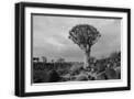 Black Frame