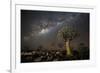 Quiver Tree Forest (Aloe Dichotoma) at Night with Stars and the Milky Way, Keetmanshoop, Namibia-Wim van den Heever-Framed Photographic Print