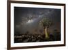 Quiver Tree Forest (Aloe Dichotoma) at Night with Stars and the Milky Way, Keetmanshoop, Namibia-Wim van den Heever-Framed Photographic Print