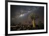 Quiver Tree Forest (Aloe Dichotoma) at Night with Stars and the Milky Way, Keetmanshoop, Namibia-Wim van den Heever-Framed Photographic Print