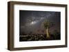 Quiver Tree Forest (Aloe Dichotoma) at Night with Stars and the Milky Way, Keetmanshoop, Namibia-Wim van den Heever-Framed Photographic Print