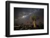 Quiver Tree Forest (Aloe Dichotoma) at Night with Stars and the Milky Way, Keetmanshoop, Namibia-Wim van den Heever-Framed Photographic Print