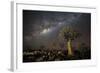 Quiver Tree Forest (Aloe Dichotoma) at Night with Stars and the Milky Way, Keetmanshoop, Namibia-Wim van den Heever-Framed Photographic Print