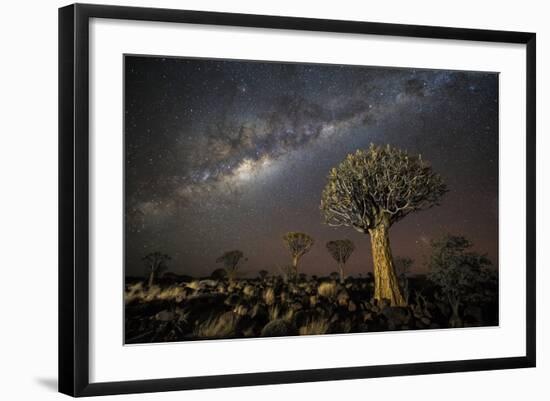 Quiver Tree Forest (Aloe Dichotoma) at Night with Stars and the Milky Way, Keetmanshoop, Namibia-Wim van den Heever-Framed Photographic Print