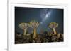 Quiver Tree Forest (Aloe Dichotoma) at Night with Stars and the Milky Way, Keetmanshoop, Namibia-Wim van den Heever-Framed Photographic Print